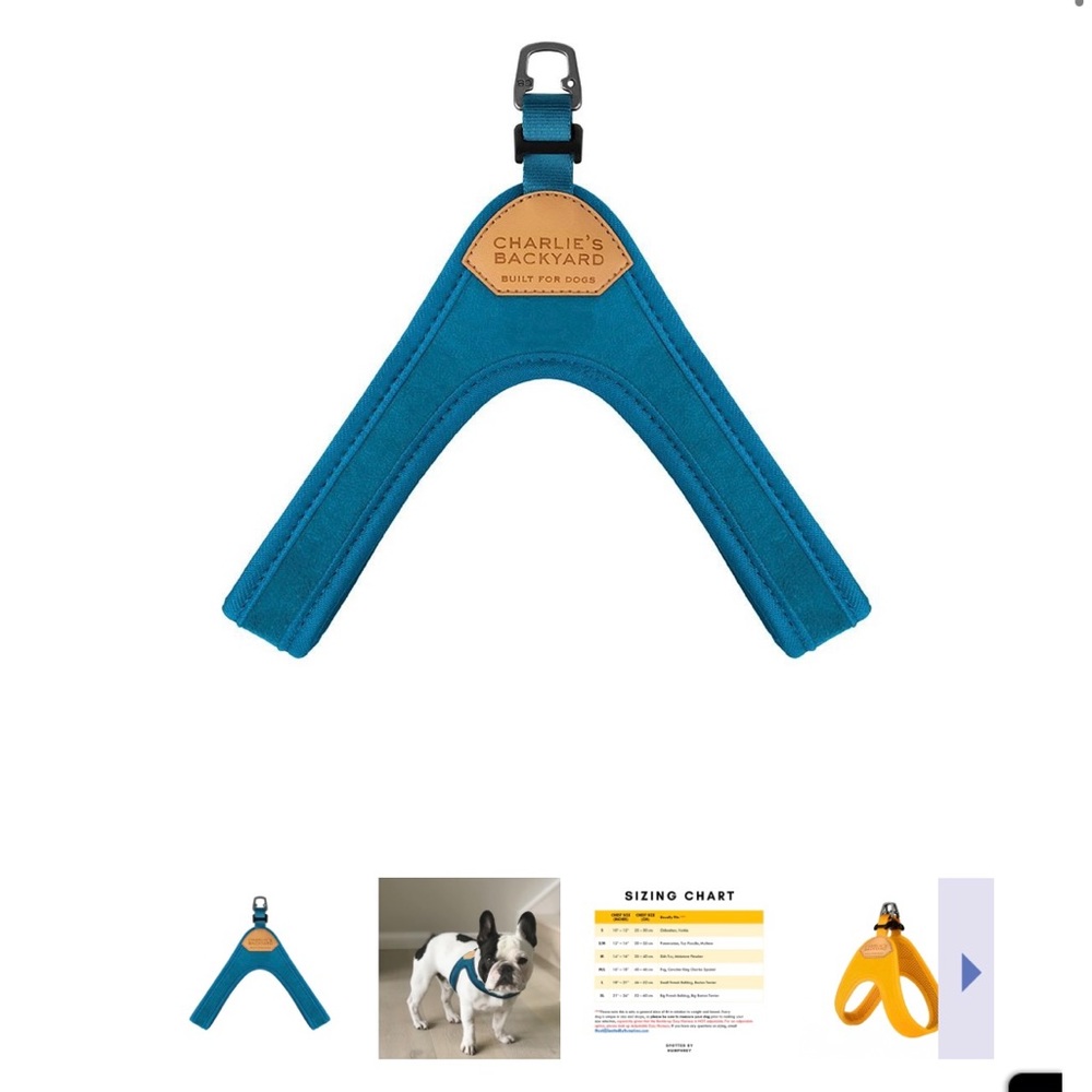Charlie's Backyard XL Buckle-up Easy Dog Harness -Blue